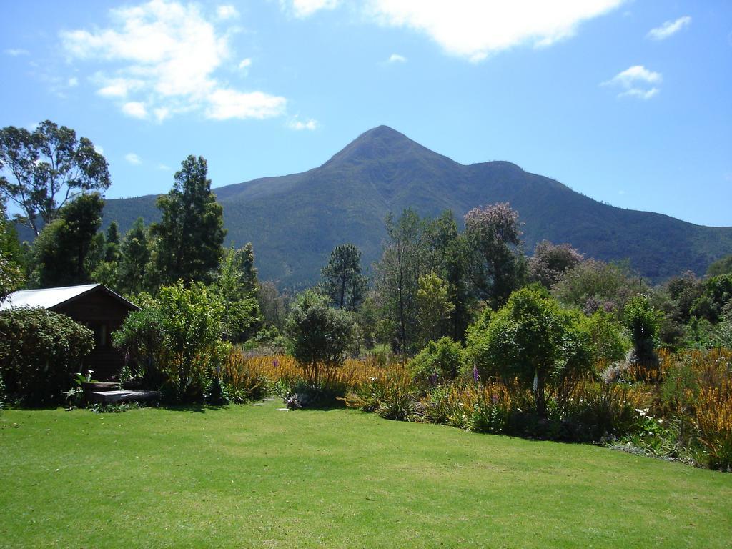 Pear Tree Cottage Stormsrivier Quarto foto