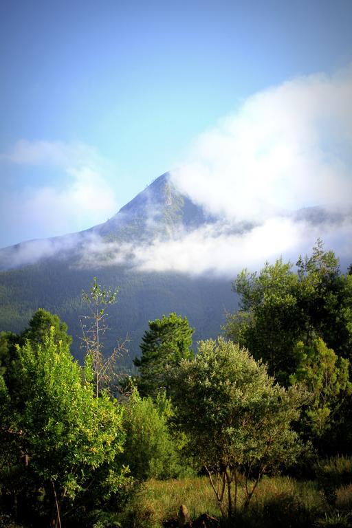 Pear Tree Cottage Stormsrivier Quarto foto